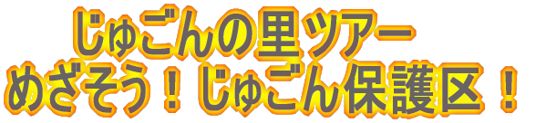���ゲ��̗��c�A�[ �߂������I���ゲ��ی��I